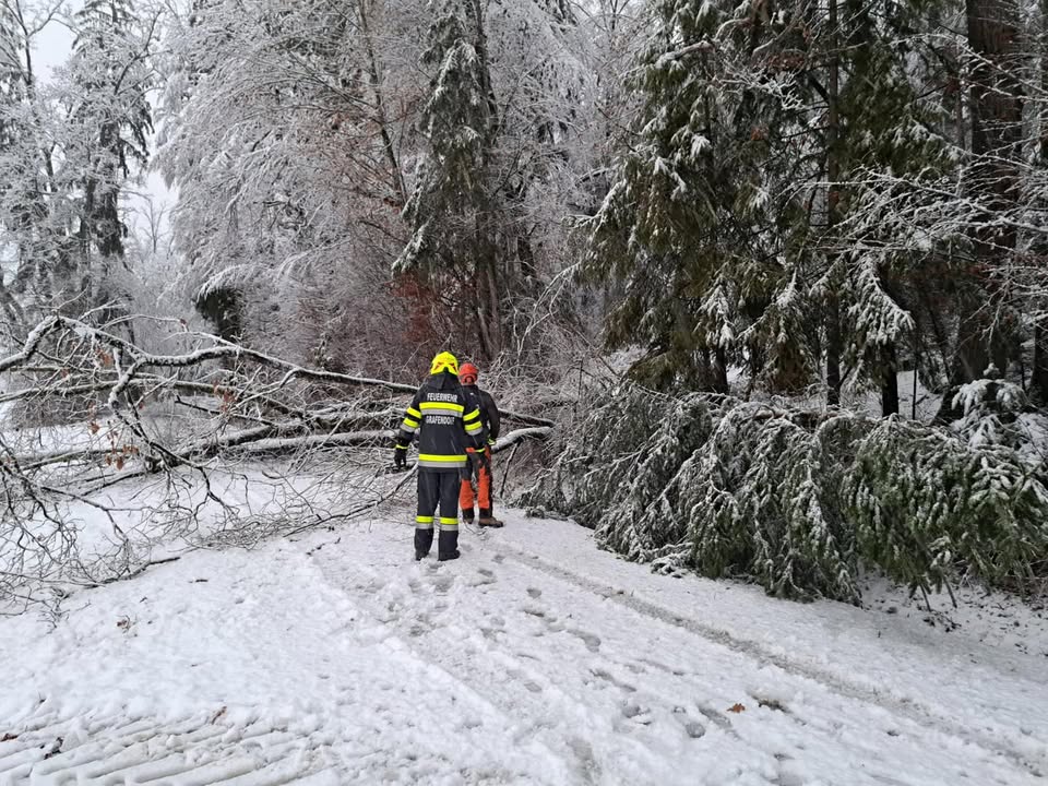 FF Grafendorf bei Stainz